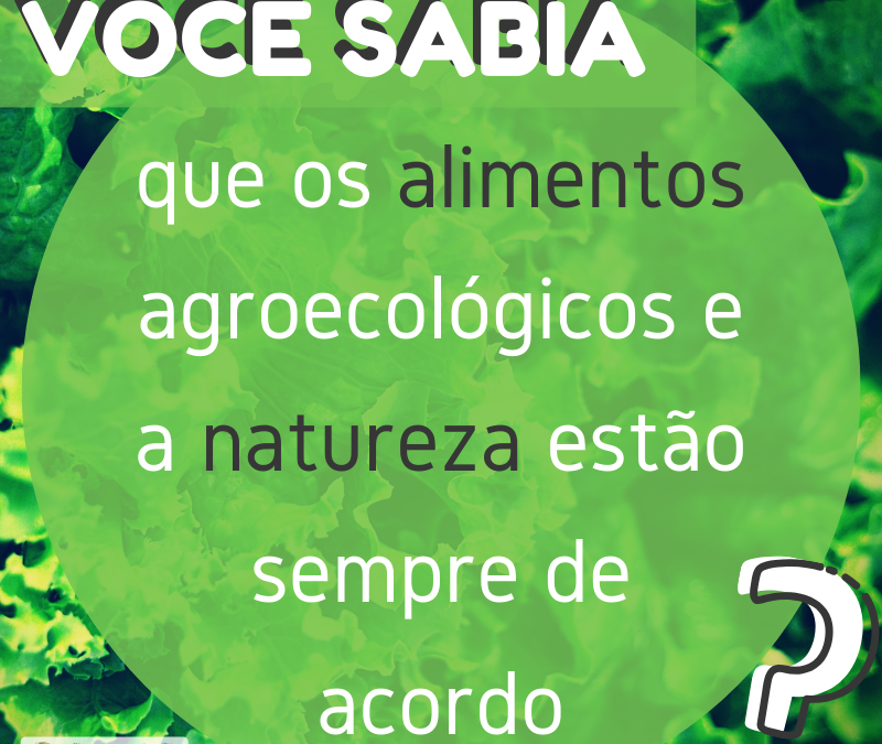 VOCÊ SABIA que os alimentos agroecológicos e a natureza estão sempre de acordo?