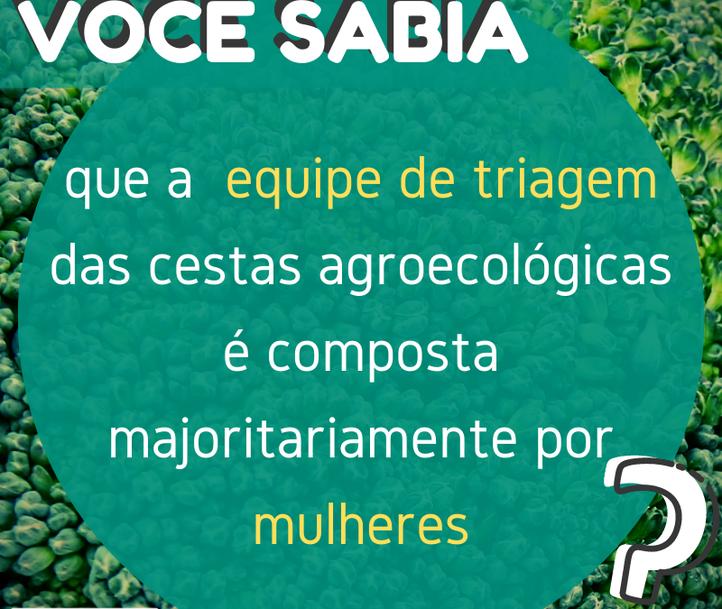 VOCÊ SABIA que a equipe de triagem das cestas agroecológicas é composta majoritariamente por mulheres?